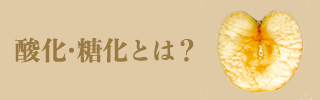 酸化・糖化とは？